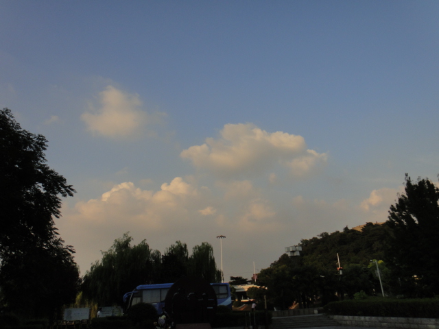 dsc07115.jpg