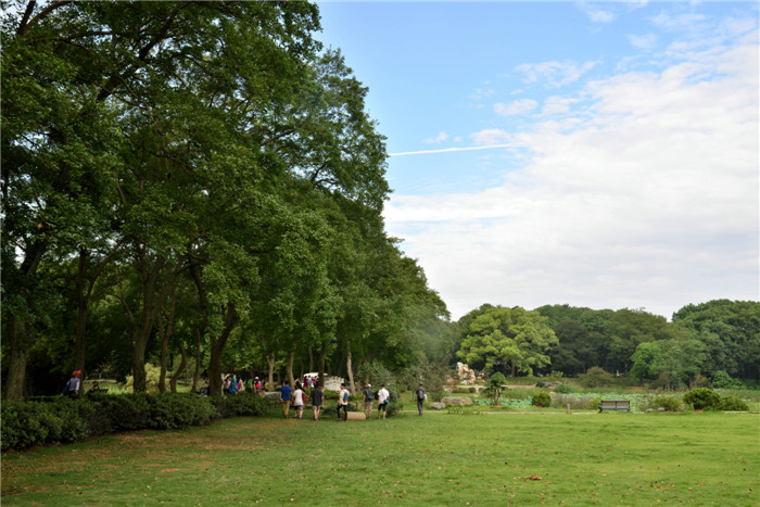 dsc_6854_.jpg