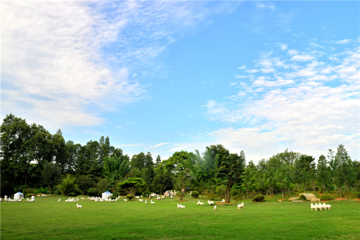 dsc_6829_.jpg