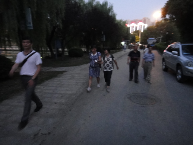 dsc07384.jpg