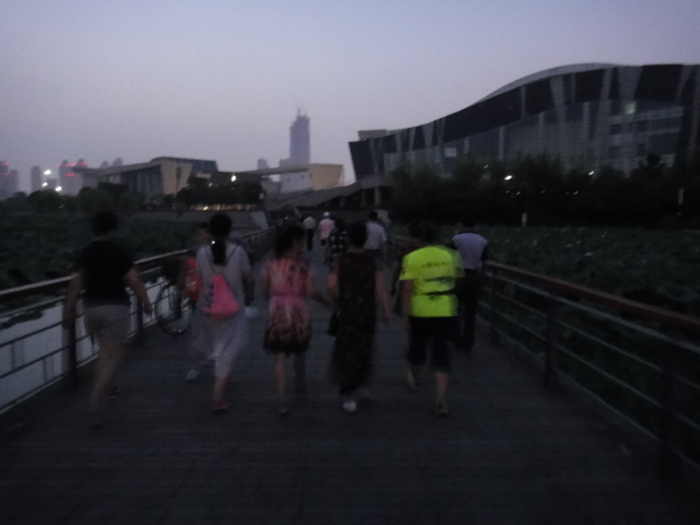 dsc07387.jpg