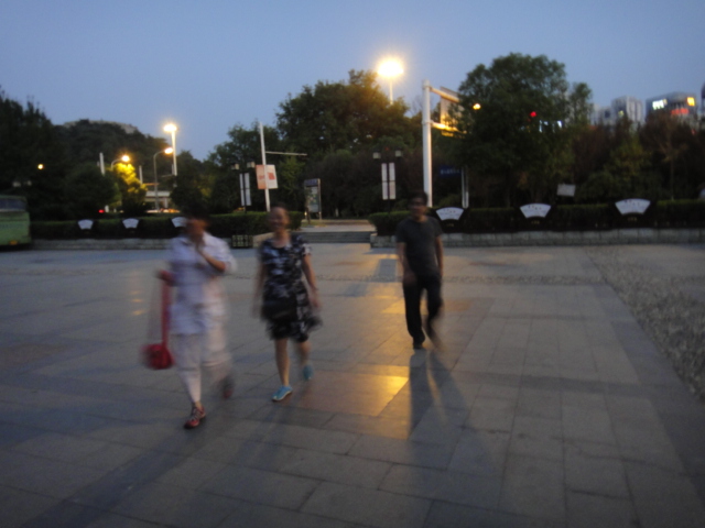 dsc07502.jpg