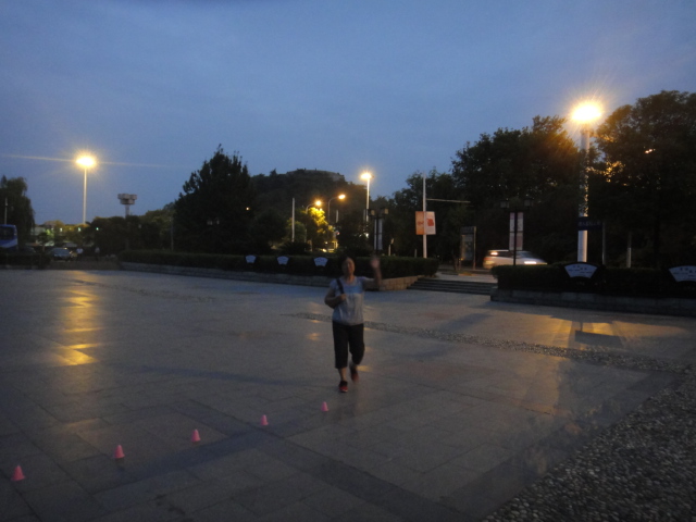 dsc07536.jpg