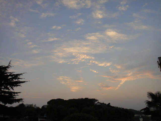 dsc07424.jpg