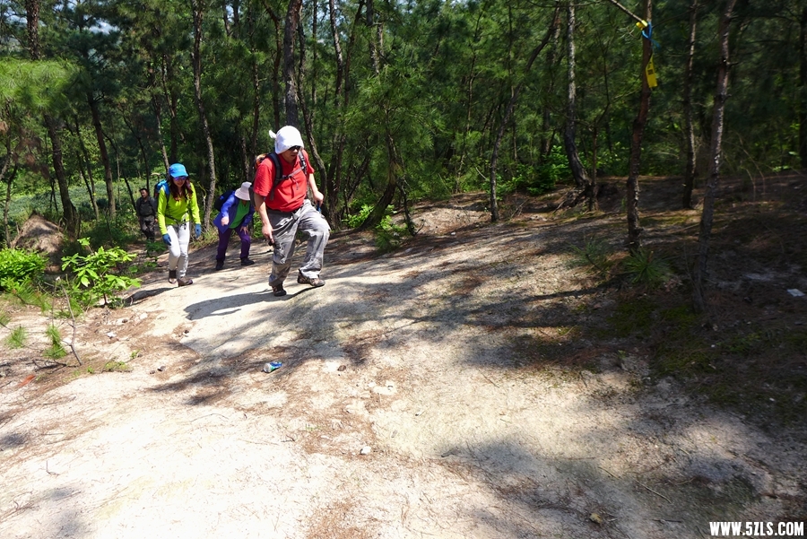 P1310504_.jpg