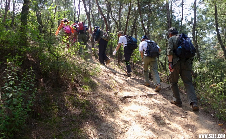 P1310505_.jpg