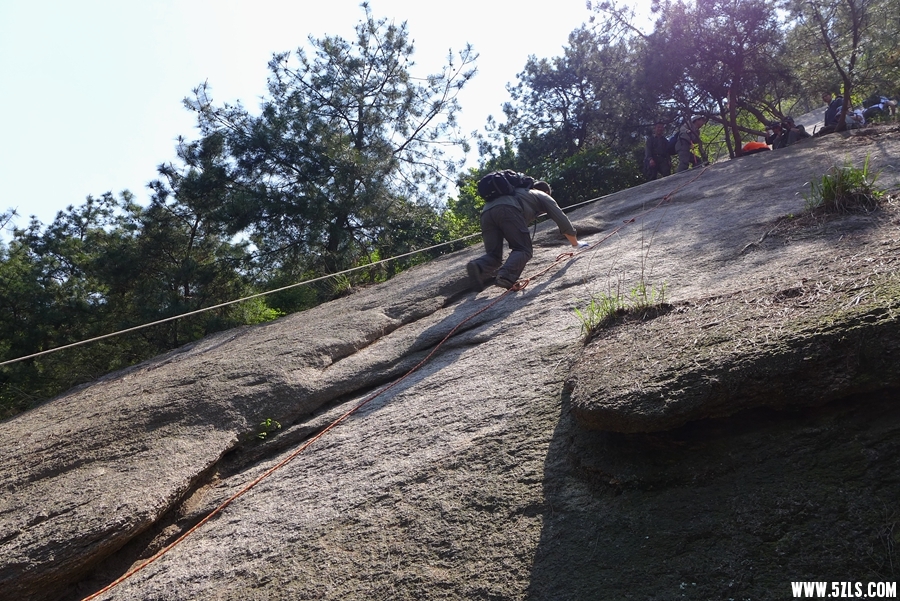 P1310517_.jpg