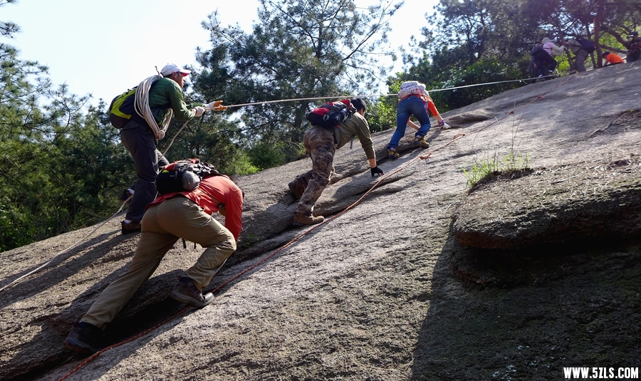 P1310520_.jpg