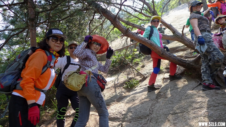 P1310565_.jpg