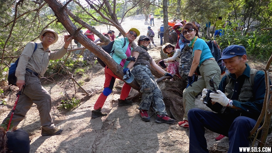 P1310568_.jpg