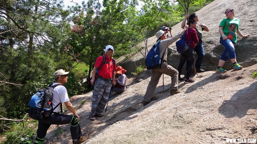 P1310576_.jpg