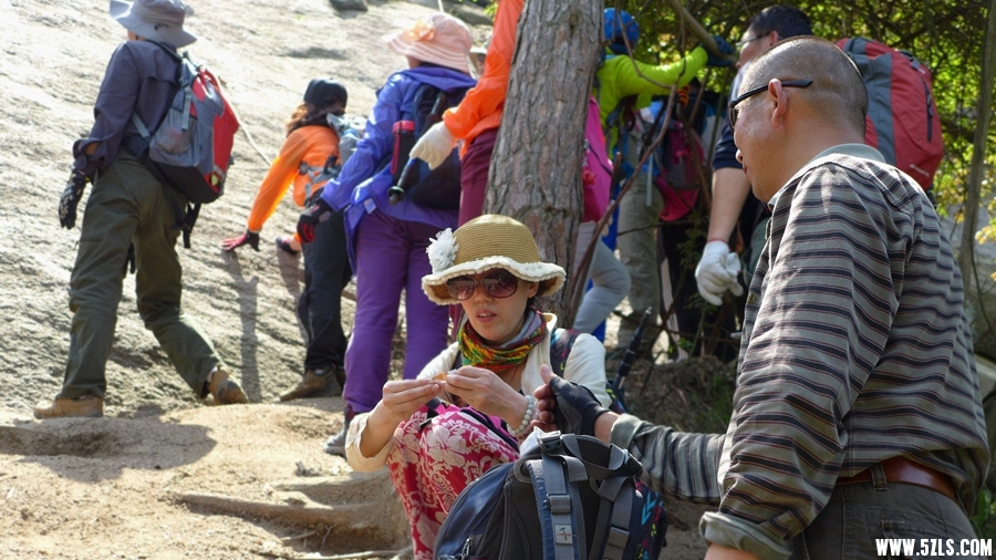 P1310579_.jpg