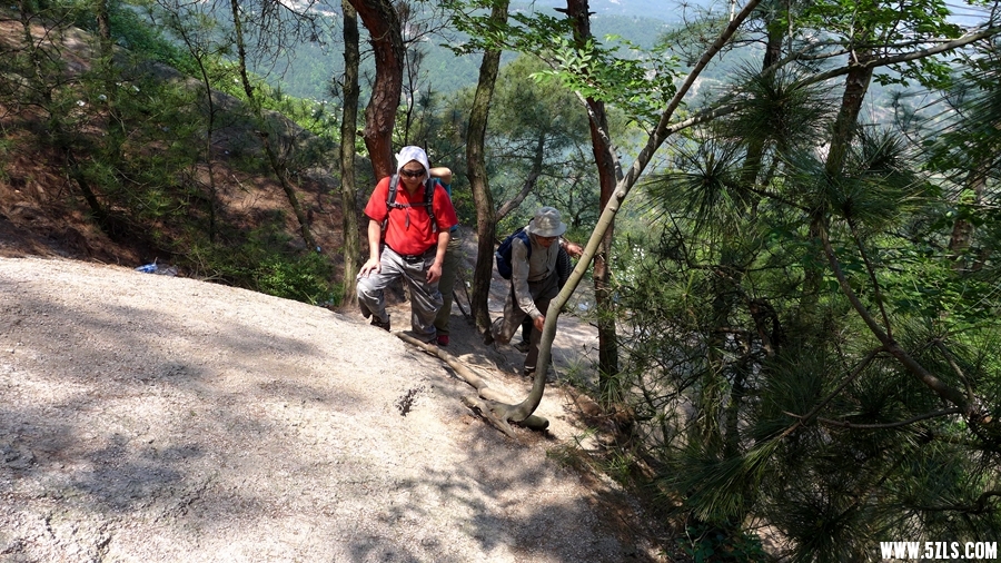 P1310617_.jpg