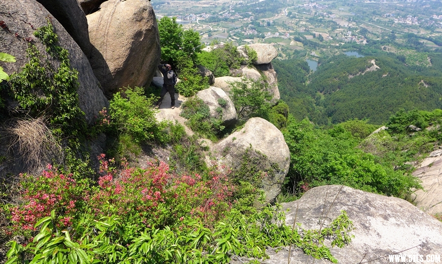 P1310774_.jpg