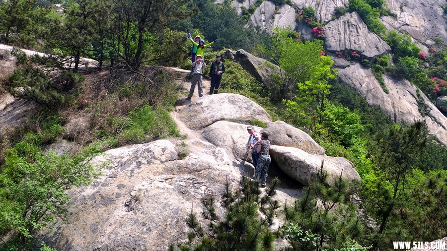 P1310780_.jpg