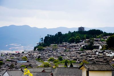 t01828506cd531a9c20.jpg