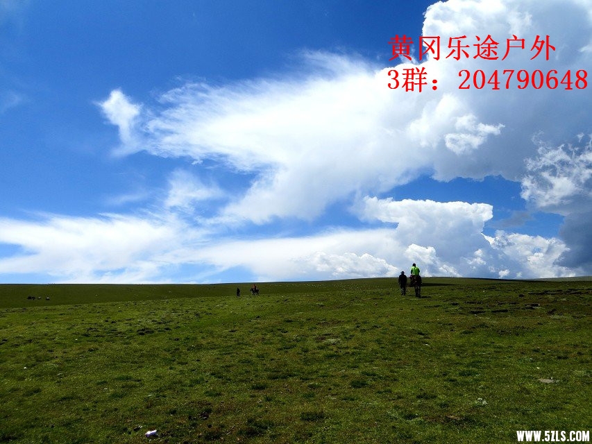 2015_7_136.jpg