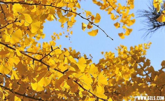 QQͼƬ20151009103909.jpg