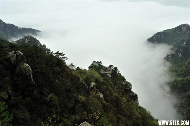 20140429101429834.jpg