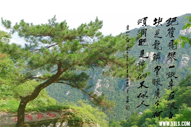 QQͼƬ20151010123645.jpg