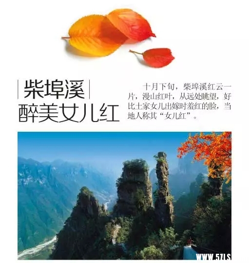 2.webp.jpg