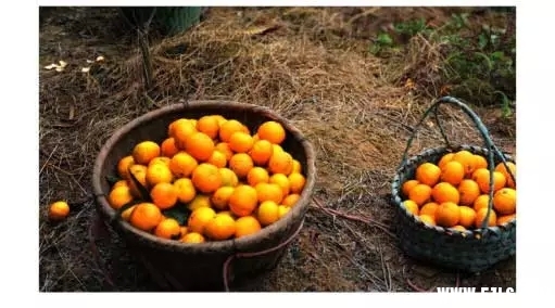 12.webp (1).jpg