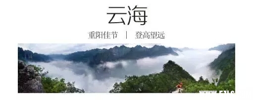 11.webp.jpg
