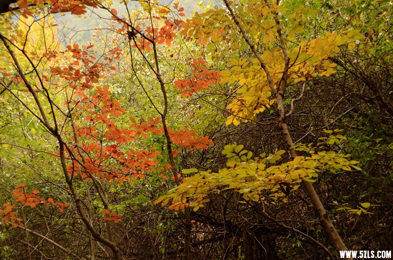 DSC_6568__.jpg