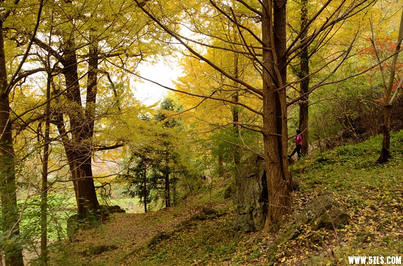 DSC_6570__.jpg
