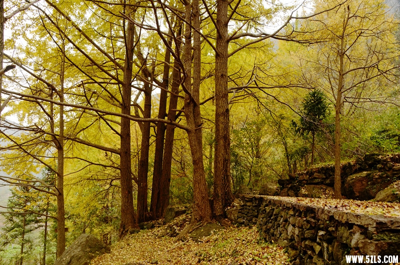 DSC_6586__.jpg