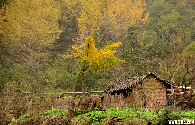 DSC_6653__.jpg