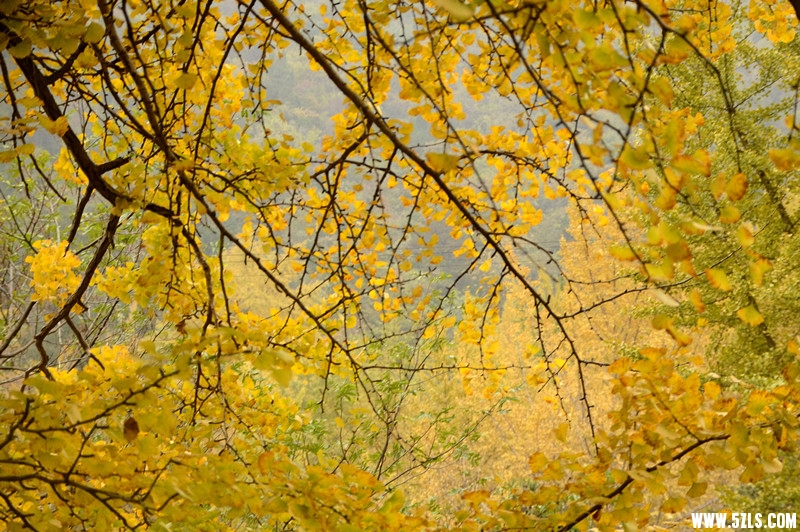 DSC_6679__.jpg