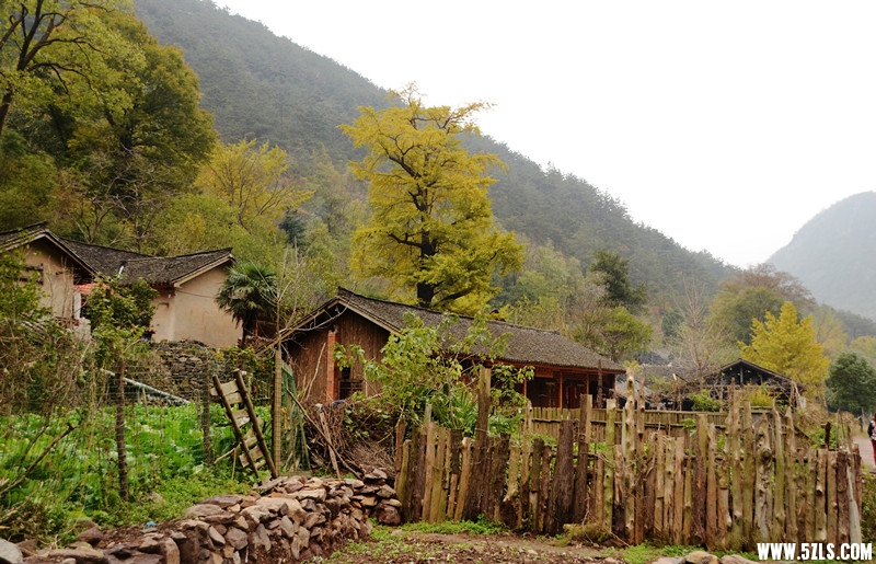 DSC_6720__.jpg