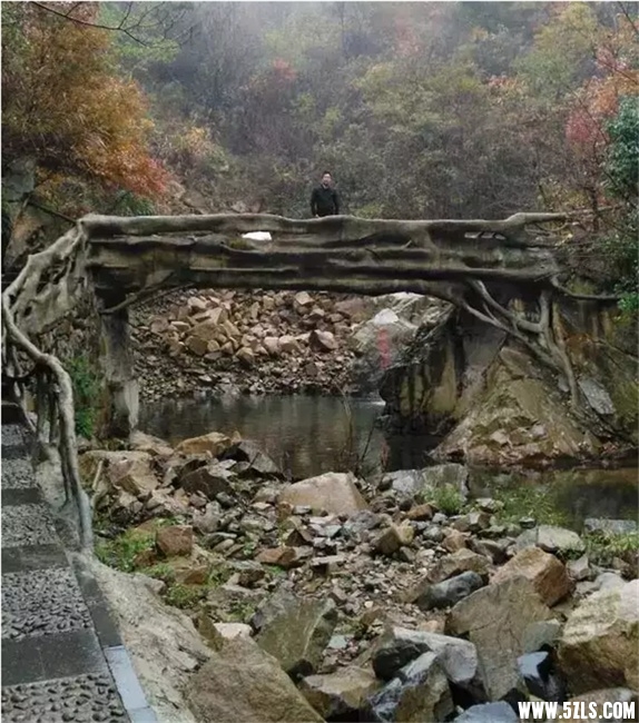 8.JPG