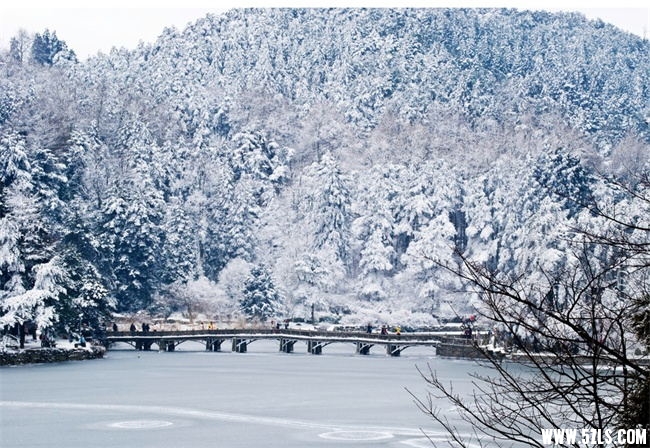 QQͼƬ20151209114335_ͼ.jpg