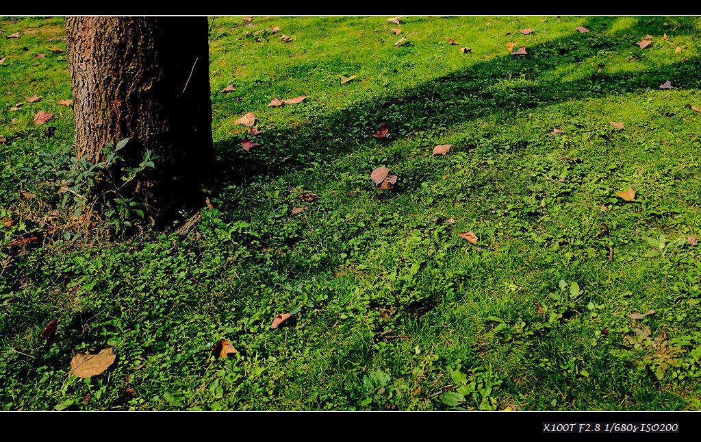 dscf0771.jpg