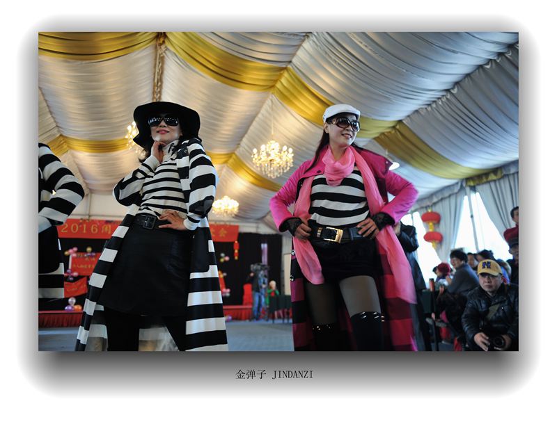 dsc_8772.jpg