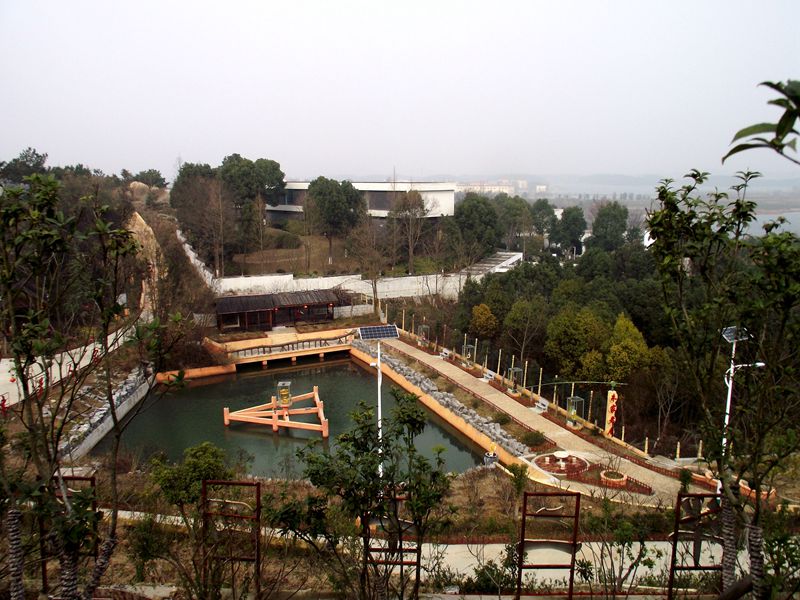 dscf8049.jpg