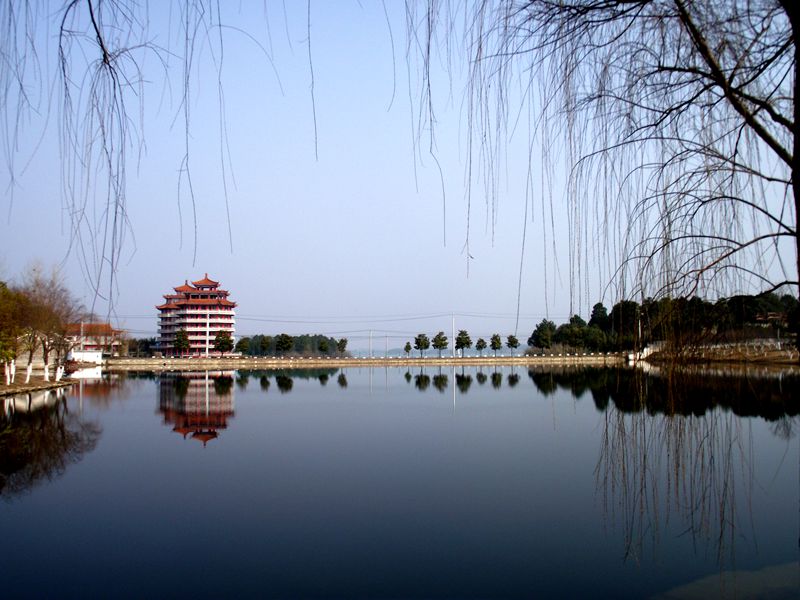 dscf8197.jpg