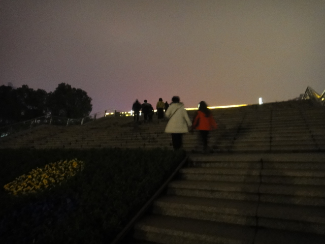 dsc08238.jpg
