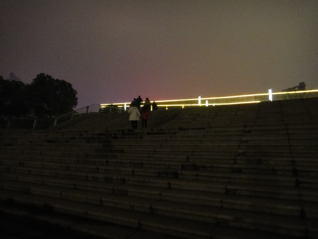 dsc08239.jpg