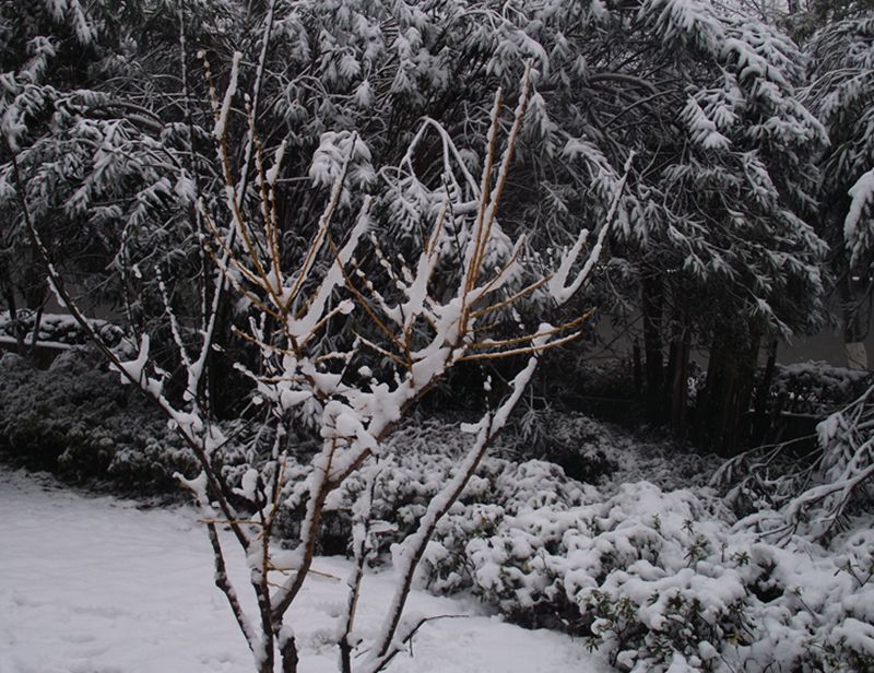 dscf8042.jpg