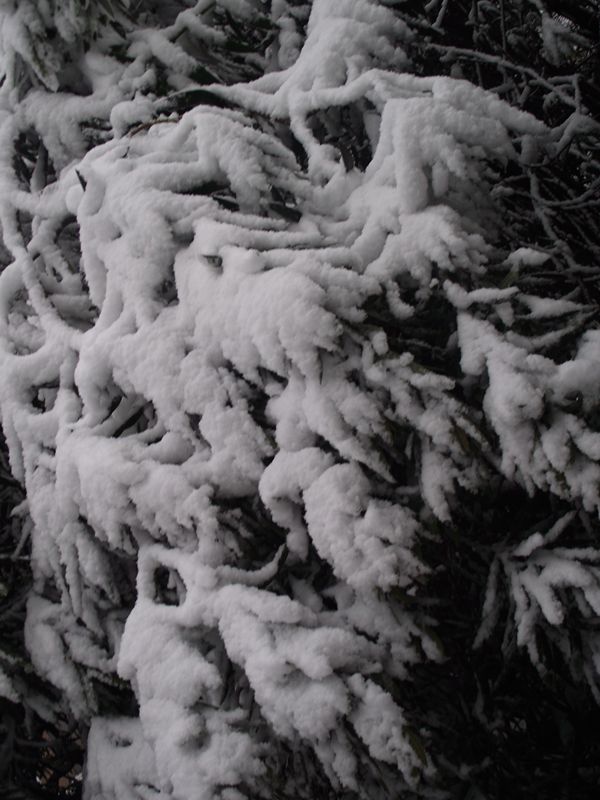 dscf8034.jpg