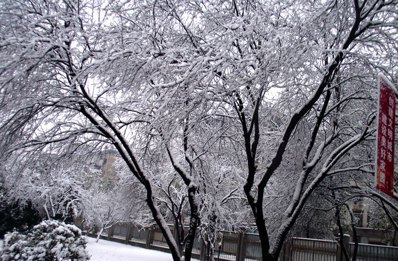 dscf8053.jpg
