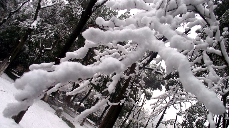 dscf8054.jpg