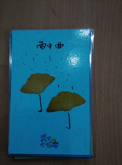 img_20161124_104002.jpg