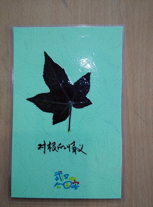 img_20161124_104029.jpg