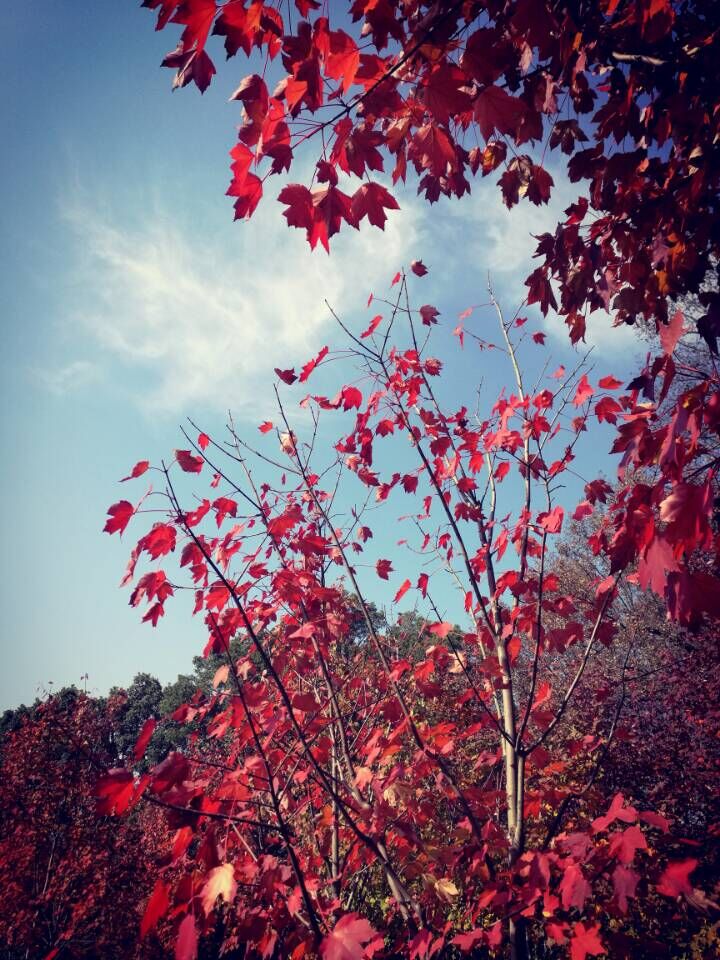 qqͼƬ20161128130107.jpg