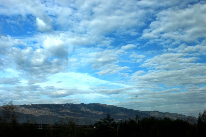 img_8353.jpg