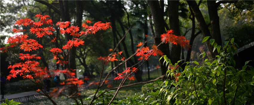 dsc_2289.jpg